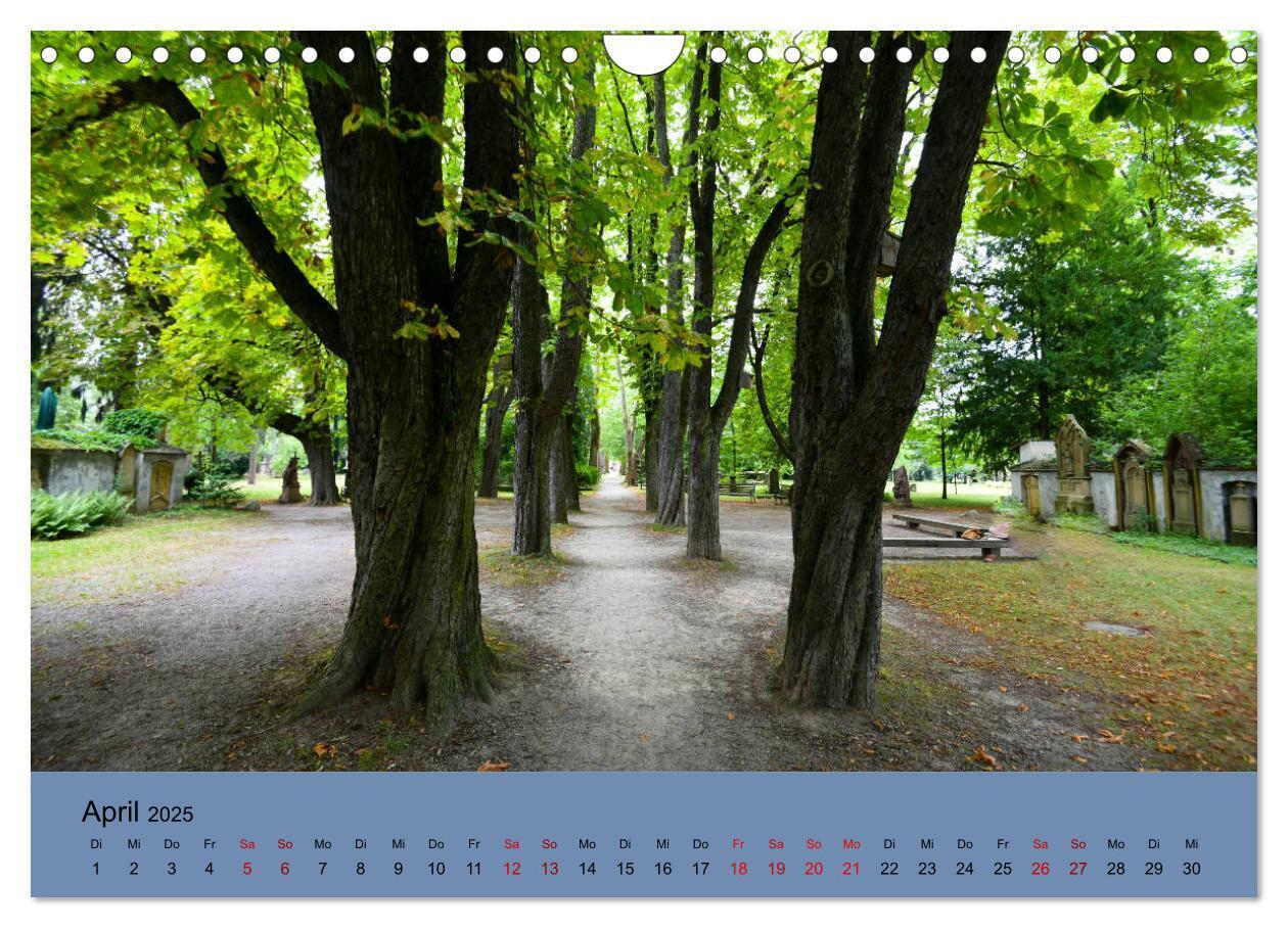 Bild: 9783435361205 | Wundervolles Freiburg (Wandkalender 2025 DIN A4 quer), CALVENDO...