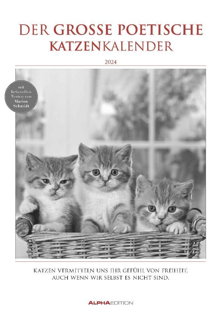 Cover: 4251732335885 | Der große poetische Katzenkalender 2024 - Bildkalender A3 (29,7x42...