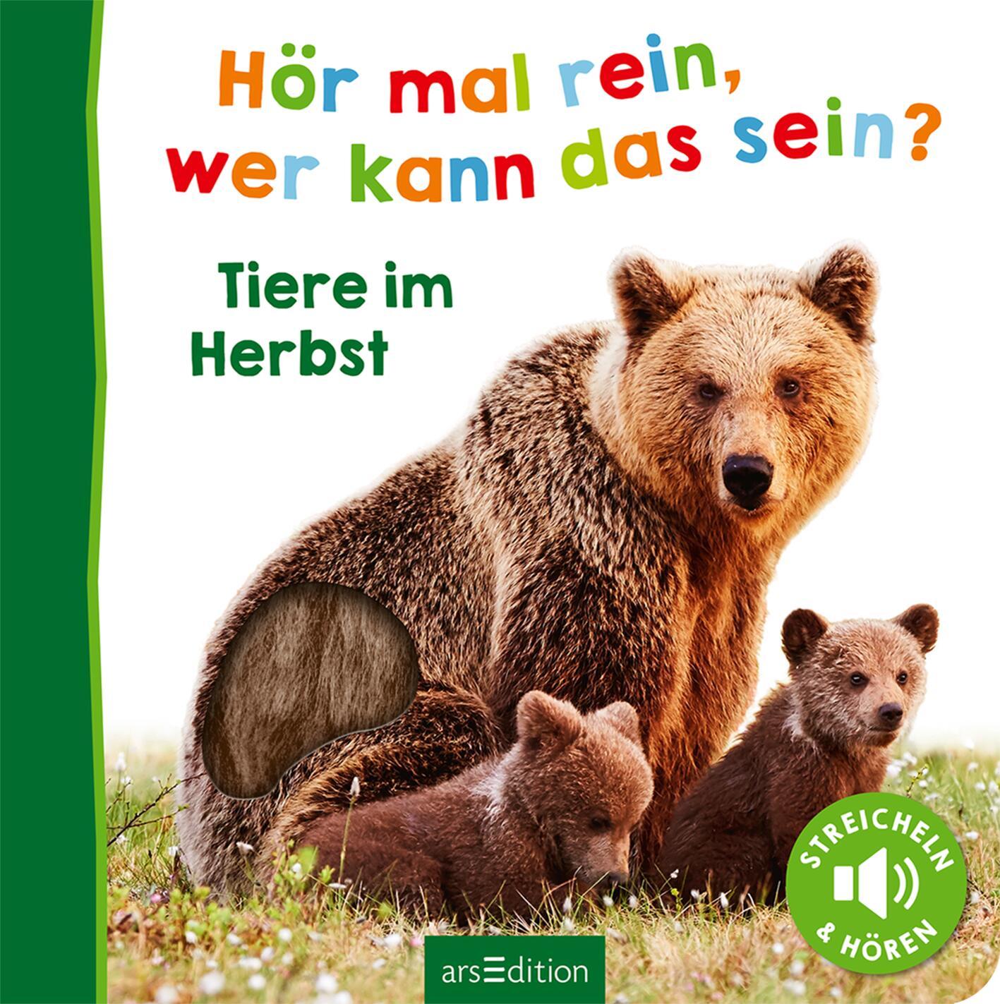 Bild: 9783845853581 | Hör mal rein, wer kann das sein? - Tiere im Herbst | Buch | 12 S.