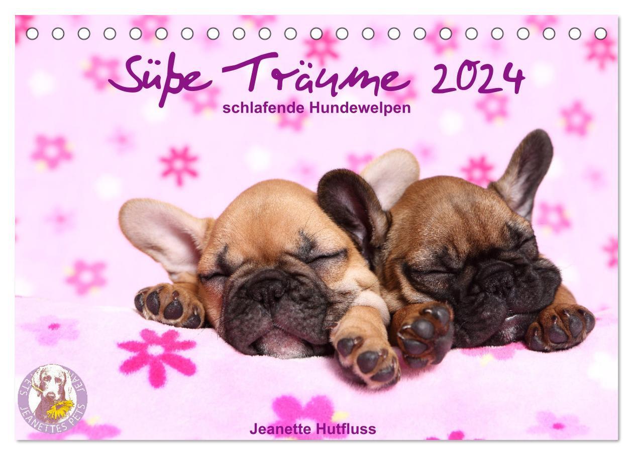 Cover: 9783675529908 | Süße Träume 2024 - schlafende Hundewelpen (Tischkalender 2024 DIN...