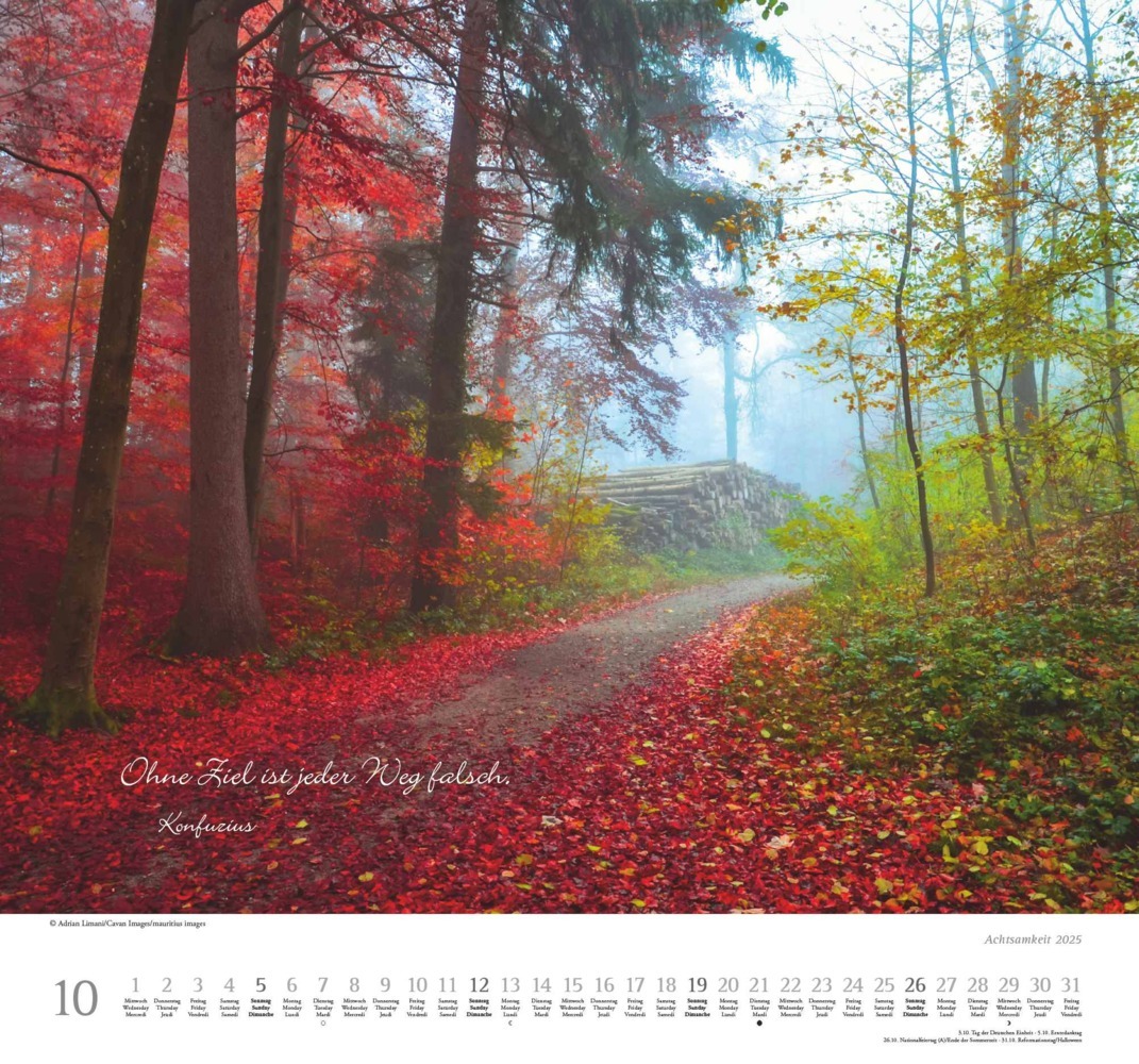 Bild: 4250809653495 | DUMONT - Achtsamkeit 2025 Wandkalender, 38x35,5cm,...