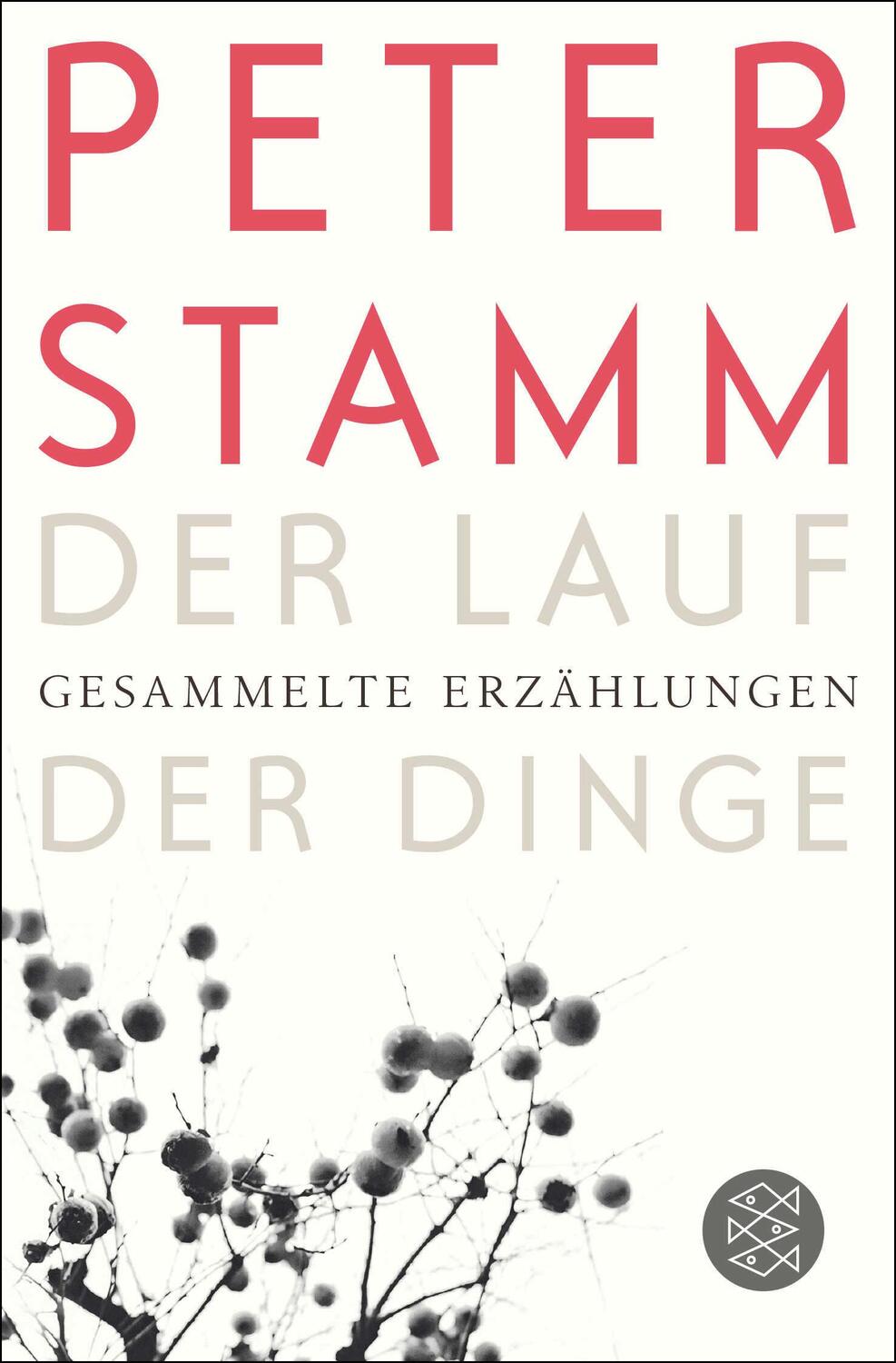Cover: 9783596031177 | Der Lauf der Dinge | Gesammelte Erzählungen | Peter Stamm | Buch