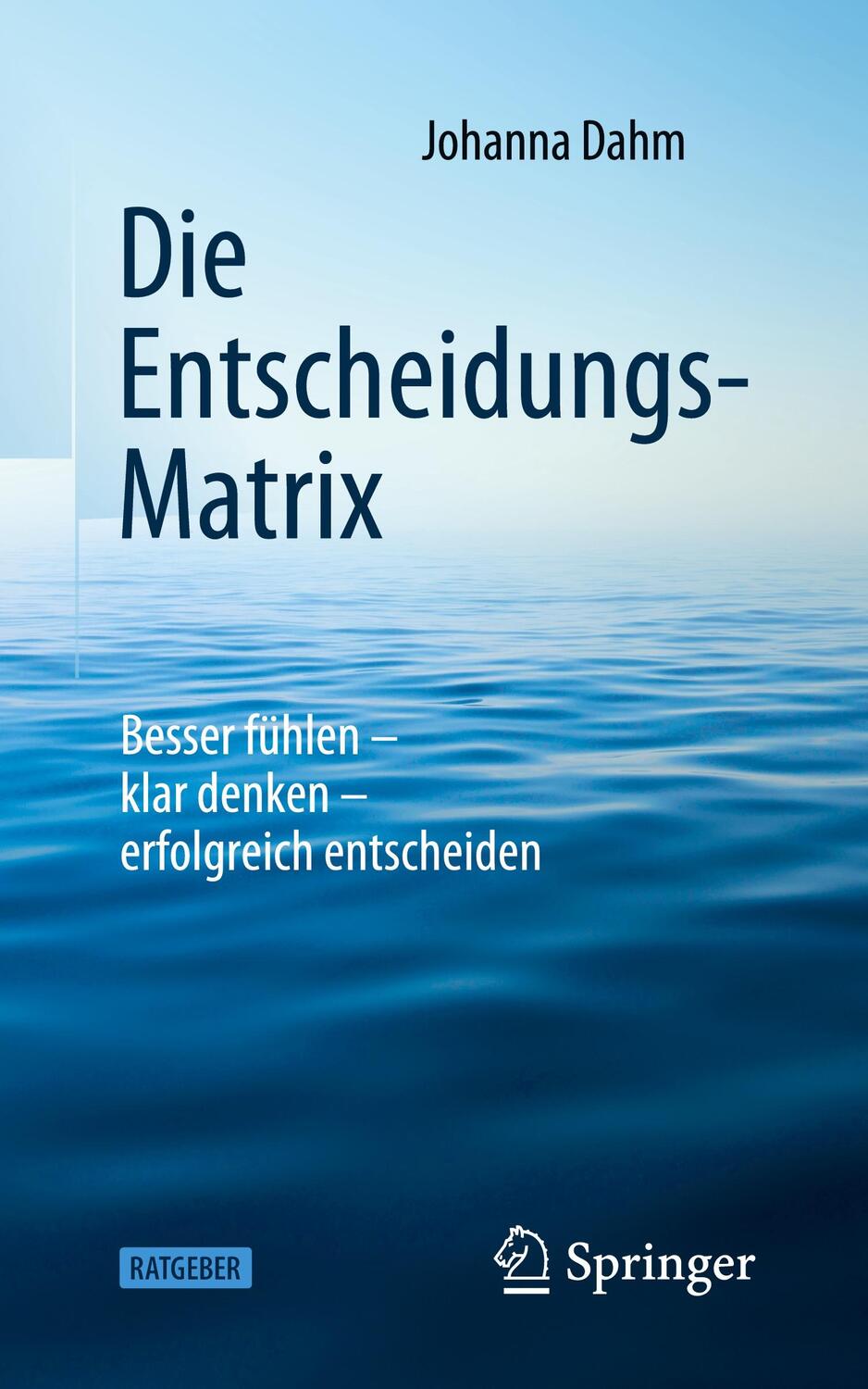 Cover: 9783662623749 | Die Entscheidungs-Matrix | Johanna Dahm | Taschenbuch | XXV | Deutsch