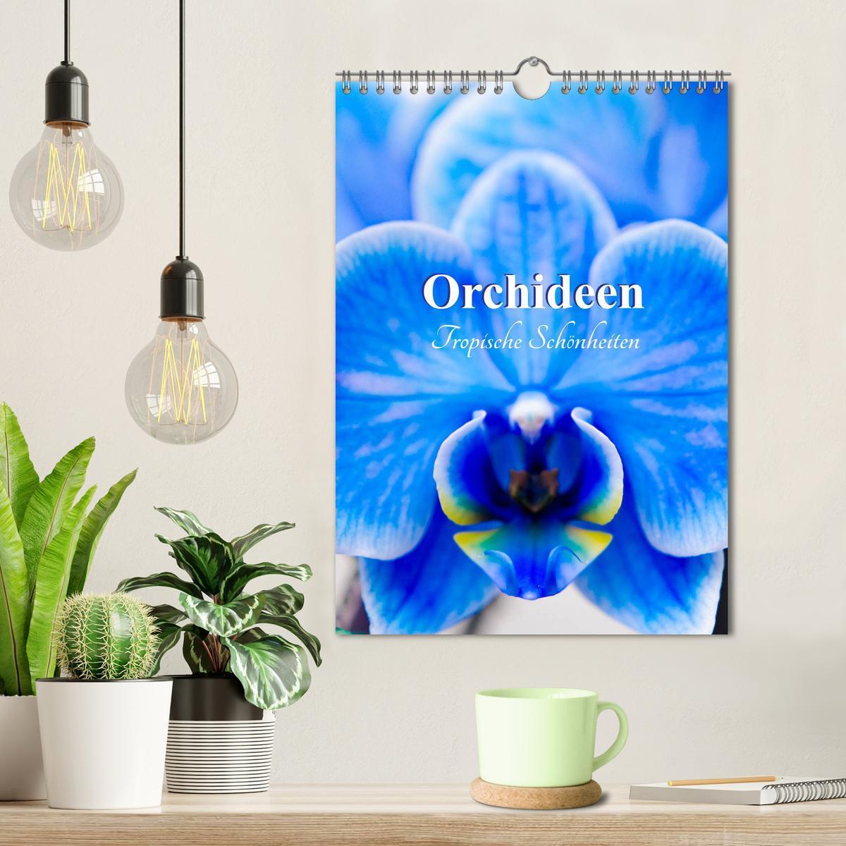 Bild: 9783435977833 | Orchideen - Tropische Schönheiten (Wandkalender 2025 DIN A4 hoch),...