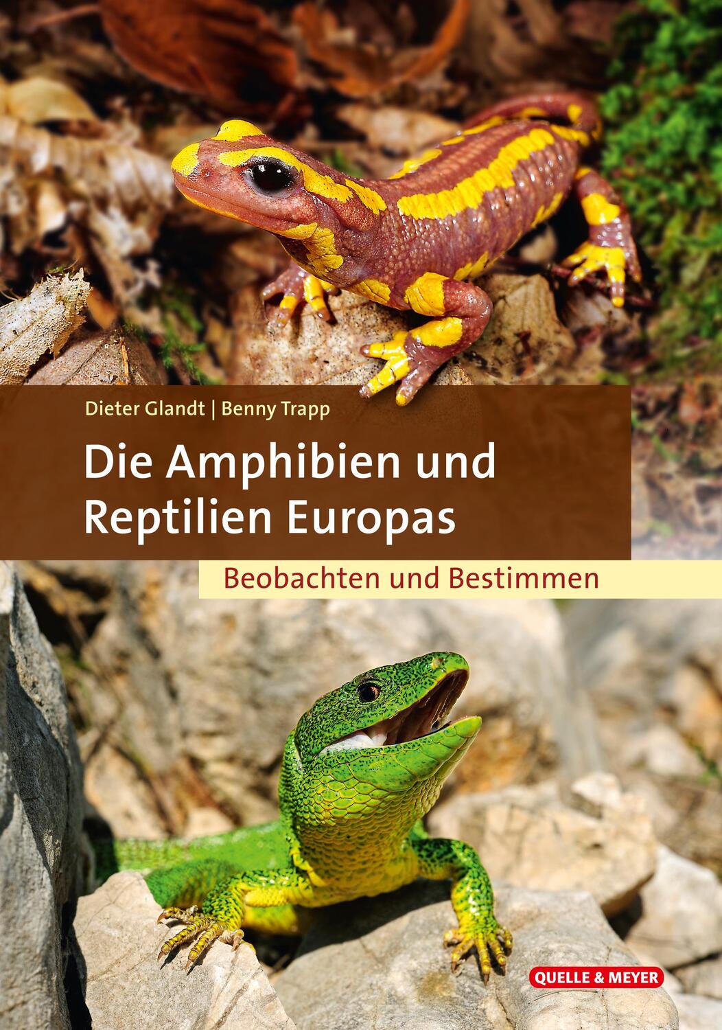 Cover: 9783494018546 | Die Amphibien und Reptilien Europas | Beobachten und Bestimmen | Buch