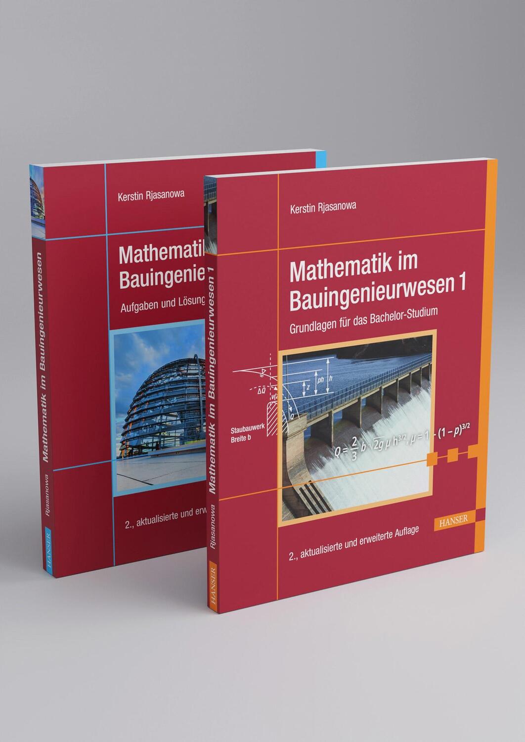 Cover: 9783446480940 | Mathematik im Bauingenieurwesen | in 2 Bänden | Kerstin Rjasanowa