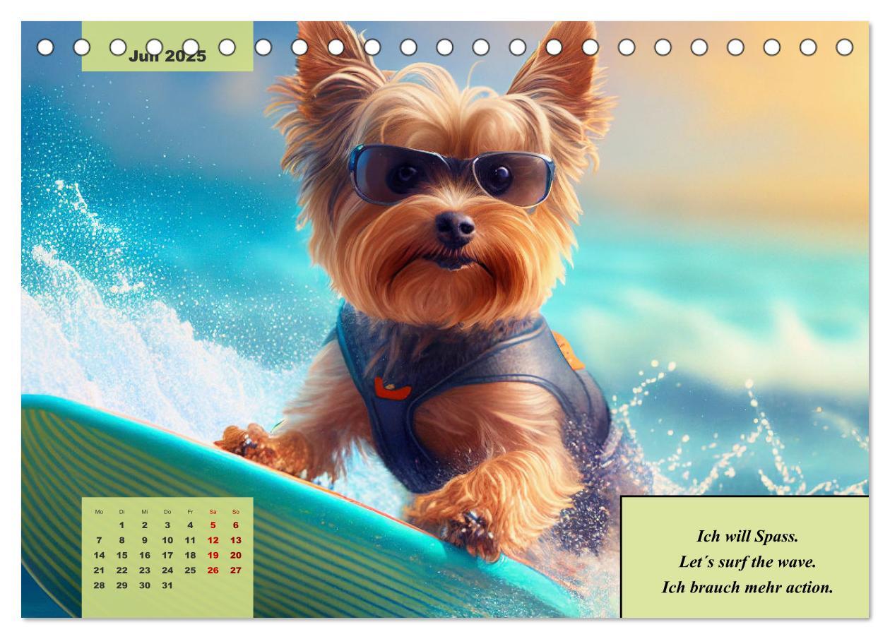 Bild: 9783383876707 | Der humoristische Yorkshire Terrier Kalender (Tischkalender 2025...