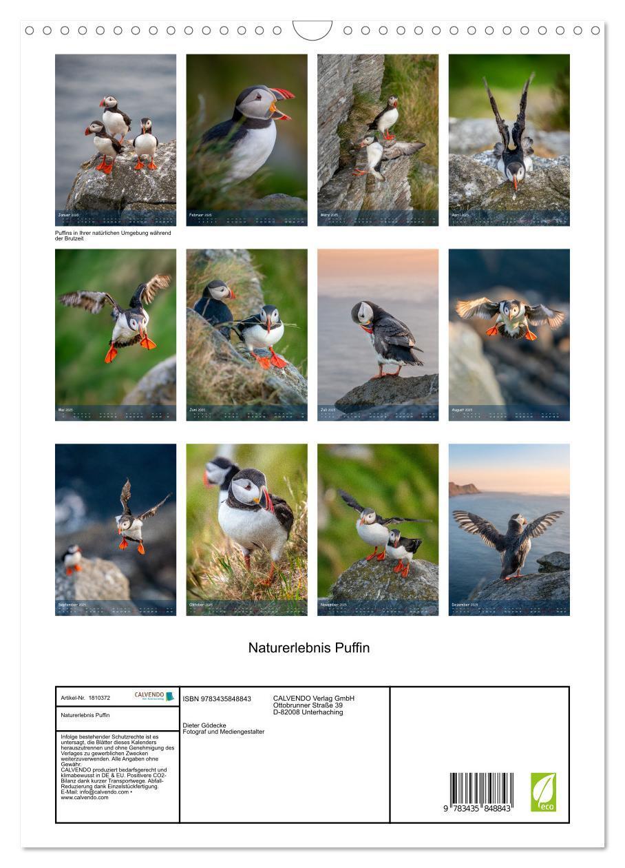 Bild: 9783435848843 | Naturerlebnis Puffin (Wandkalender 2025 DIN A3 hoch), CALVENDO...