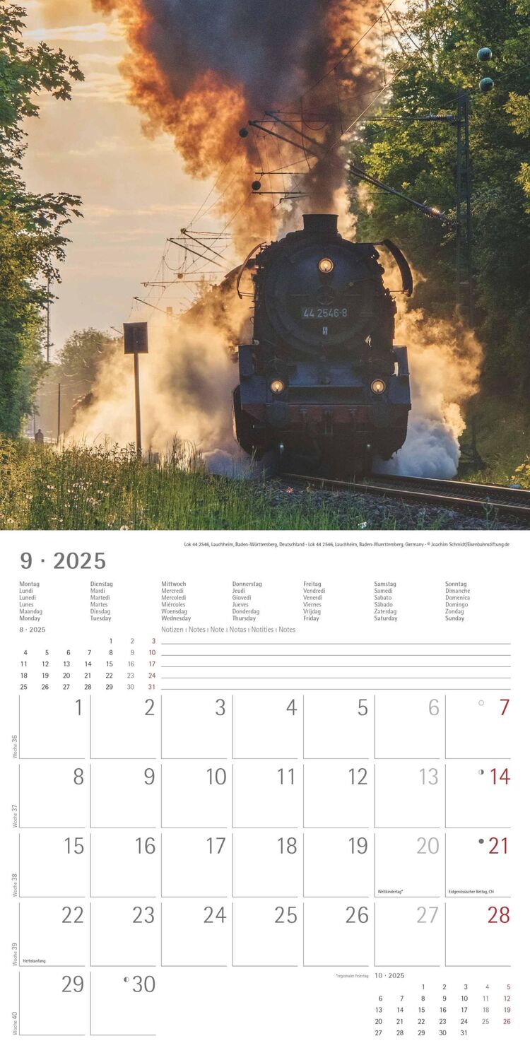 Bild: 4251732340971 | Dampfloks 2025 - Broschürenkalender 30x30 cm (30x60 geöffnet) -...