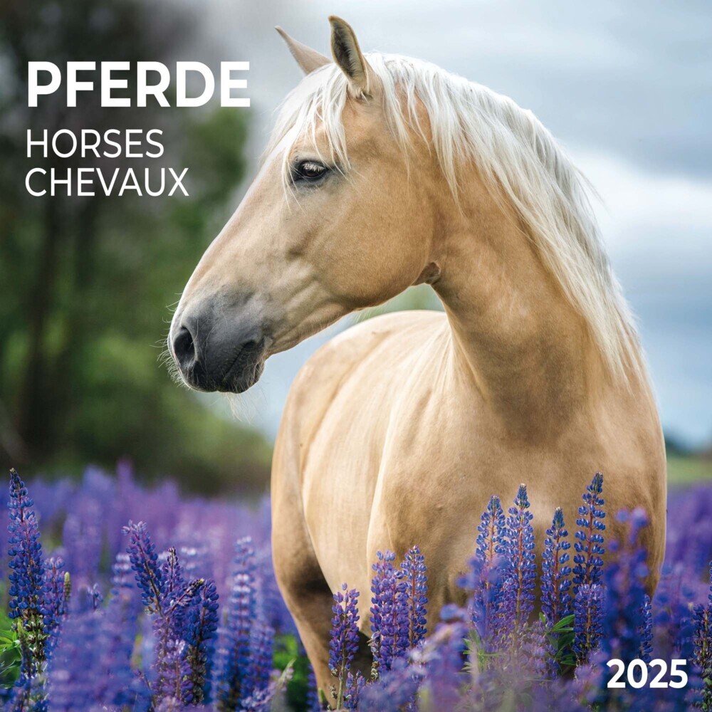 Cover: 9783959294546 | Horses/Pferde 2025 | Kalender 2025 | Kalender | Drahtheftung | 28 S.