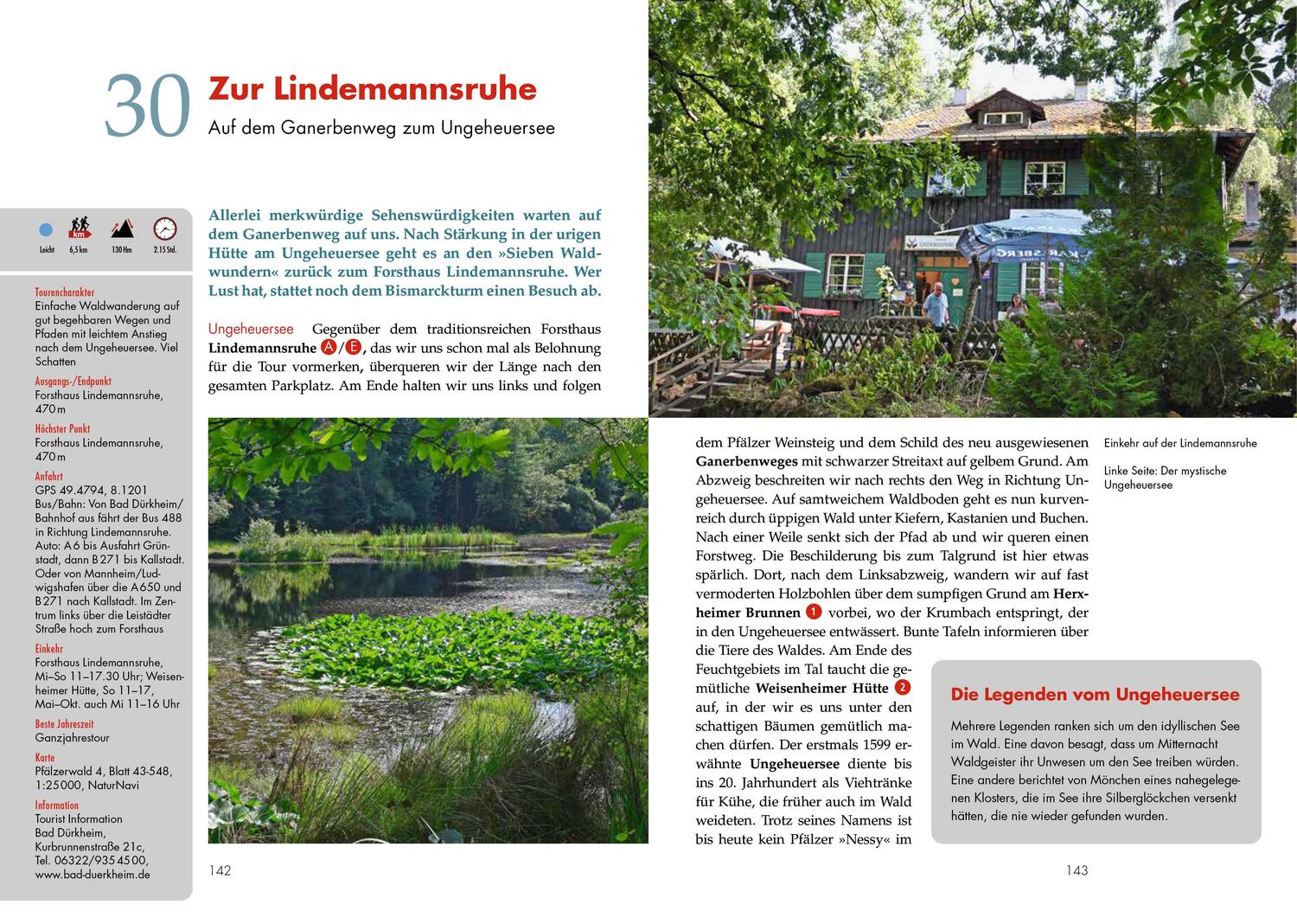 Bild: 9783862469222 | Panoramawege für Senioren Pfälzerwald | Albrecht Ritter | Taschenbuch