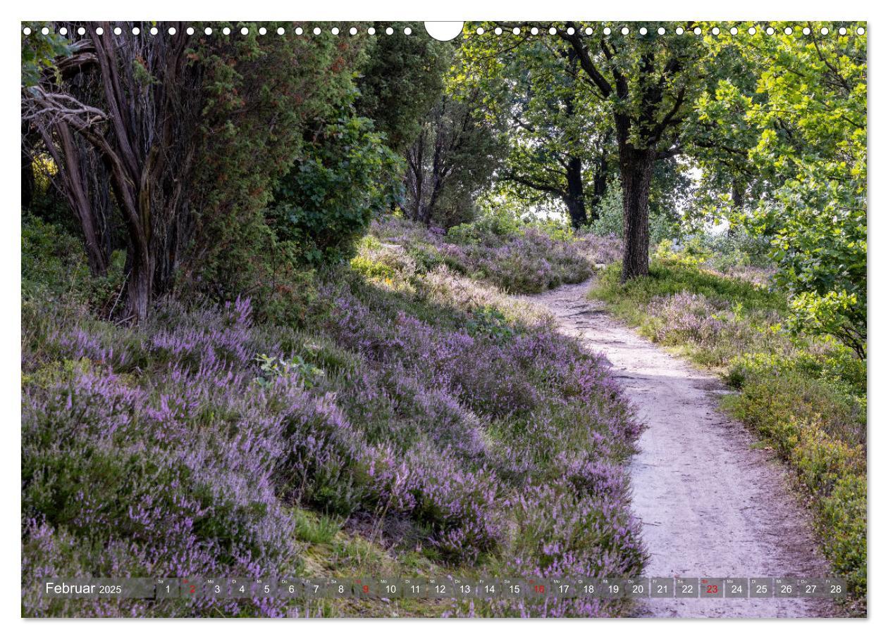 Bild: 9783383851728 | Die Lüneburger Heide - In voller Blüte (Wandkalender 2025 DIN A3...