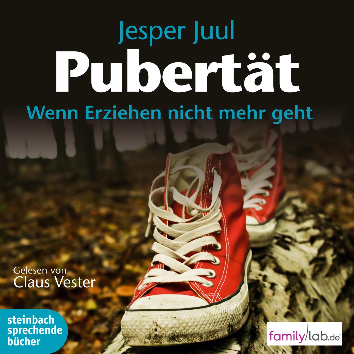 Cover: 9783869742250 | Pubertät | Wenn erziehen nicht mehr geht | Jesper Juul | MP3 | Deutsch