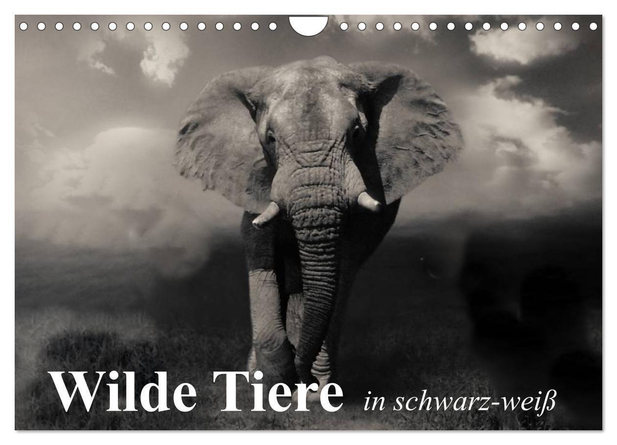 Cover: 9783383388446 | Wilde Tiere in schwarz-weiß (Wandkalender 2024 DIN A4 quer),...