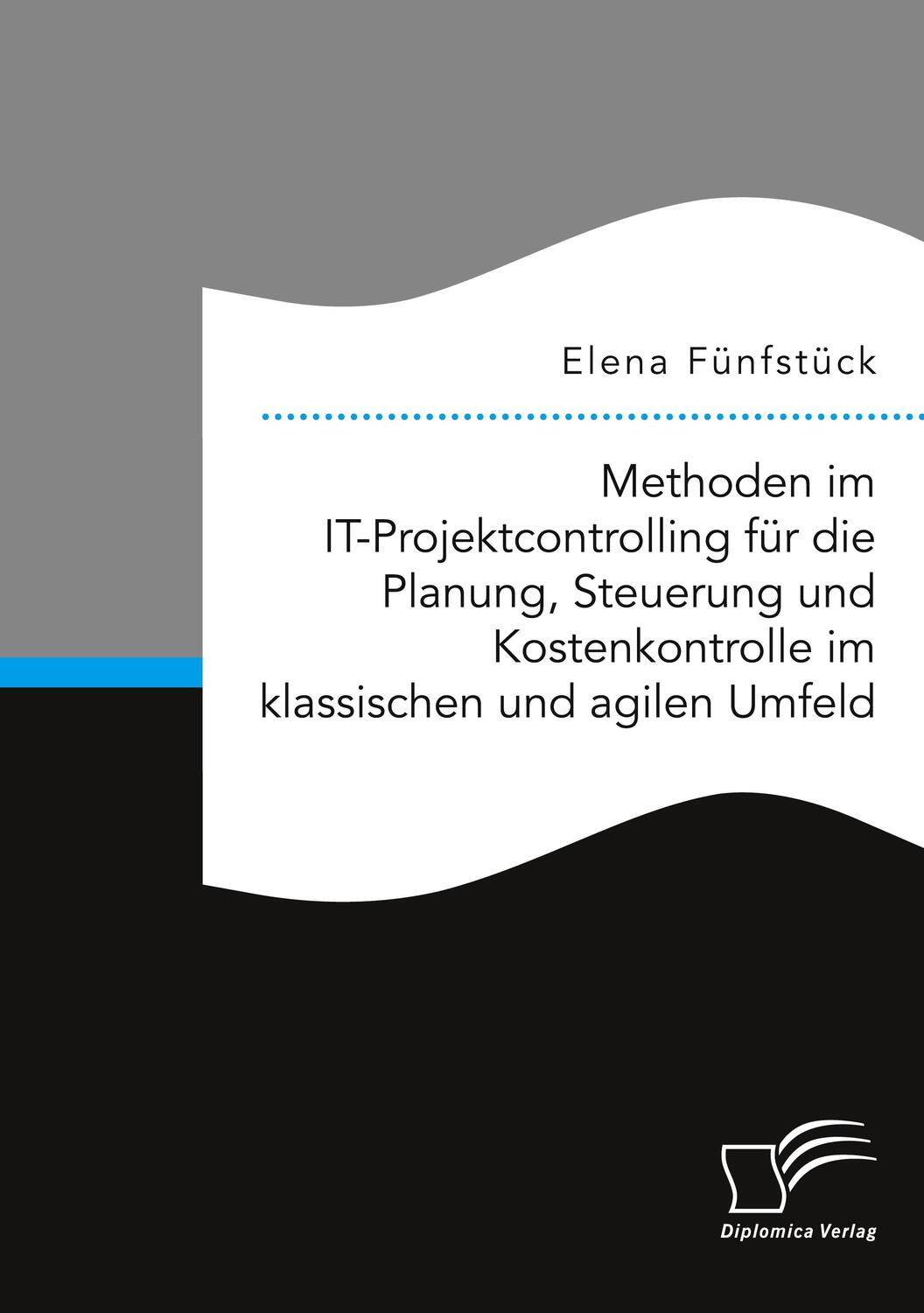 Cover: 9783961467792 | Methoden im IT-Projektcontrolling für die Planung, Steuerung und...