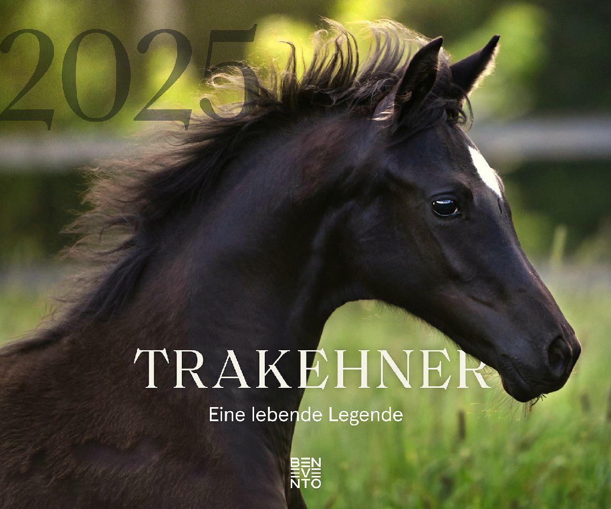 Cover: 9783710901782 | Trakehner 2025 | Eine lebende Legende | Kalender | 14 S. | Deutsch