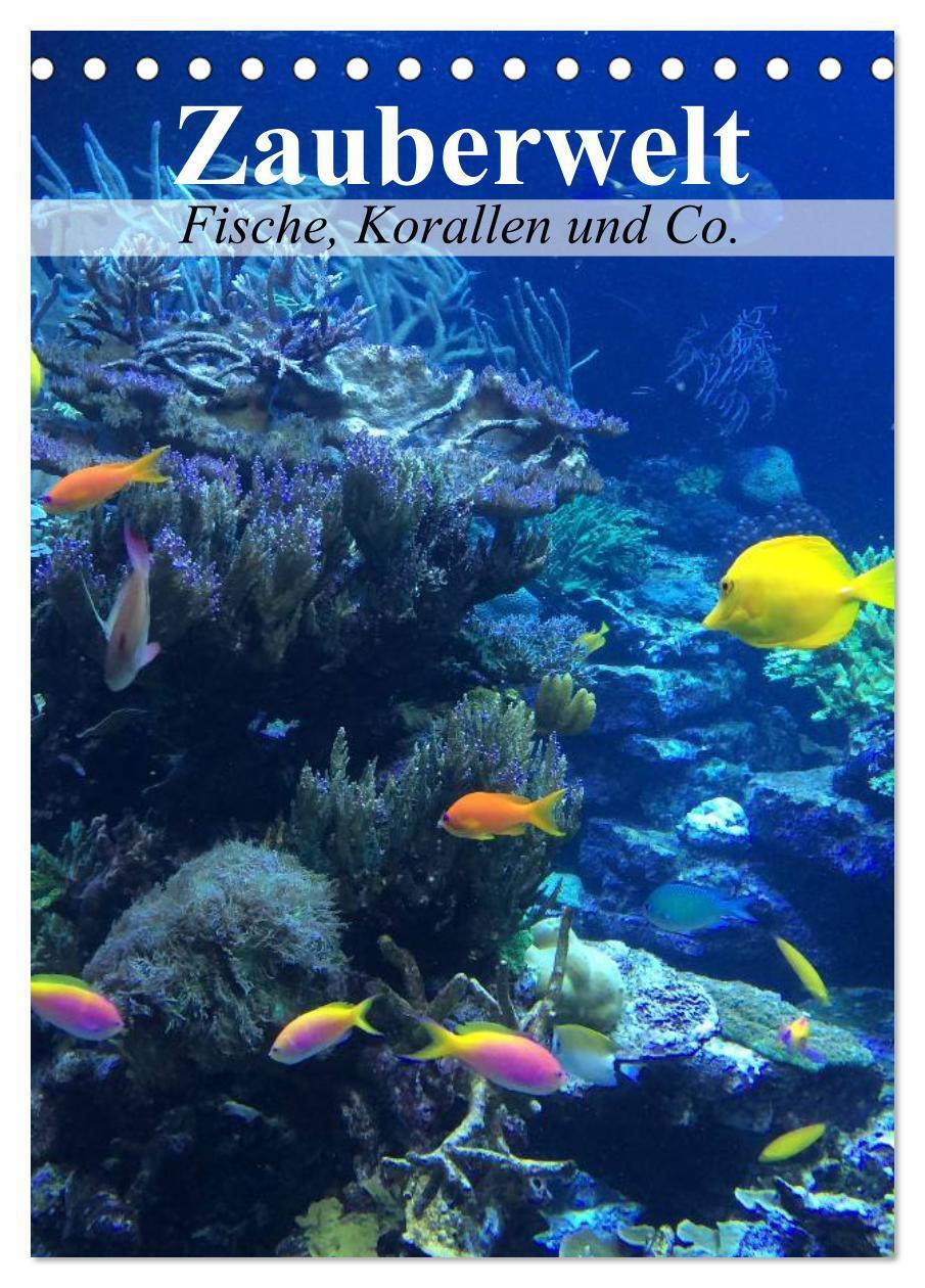 Cover: 9783383375354 | Zauberwelt. Fische, Korallen und Co. (Tischkalender 2024 DIN A5...