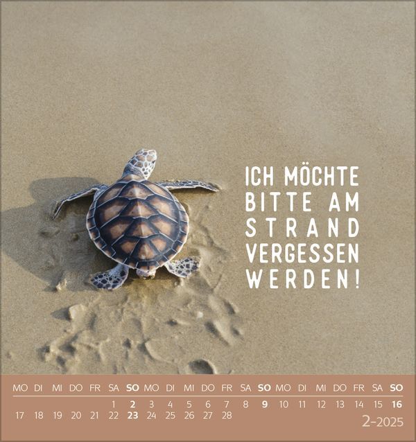 Bild: 9783731876359 | Urlaubsreif 2025 | aufstellbarer Postkartenkalender | Korsch Verlag