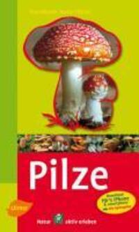 Cover: 9783800156559 | Steinbachs Naturführer Pilze | entdecken und erkennen | Taschenbuch
