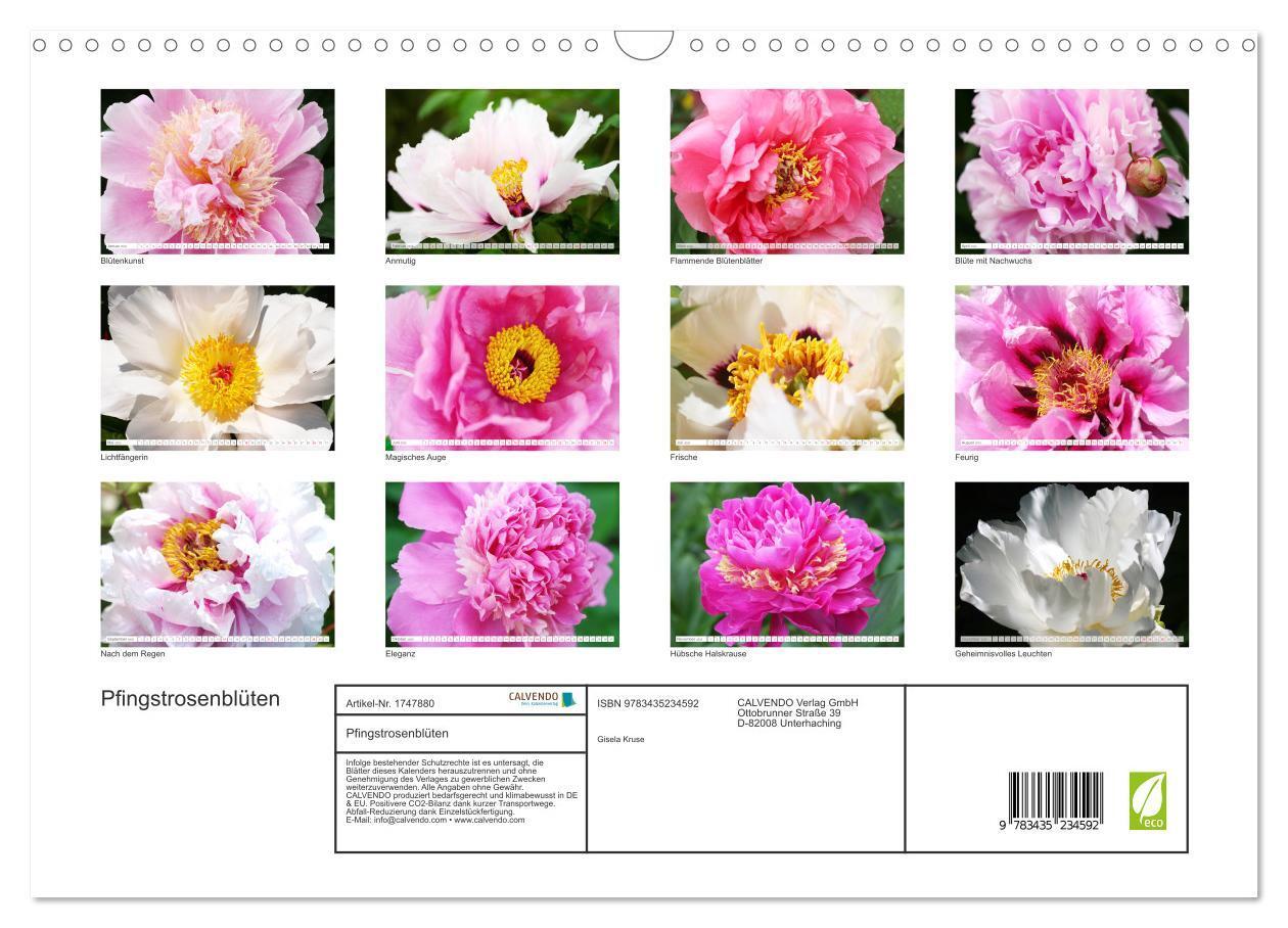 Bild: 9783435234592 | Pfingstrosenblüten (Wandkalender 2025 DIN A3 quer), CALVENDO...