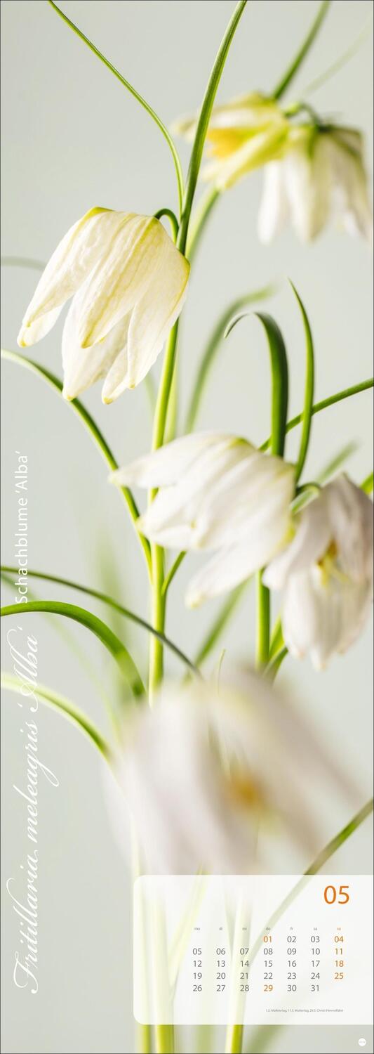 Bild: 9783756404612 | Magic Flowers Vertical Kalender 2025 | Kalender | Spiralbindung | 2025