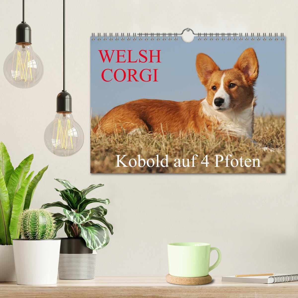 Bild: 9783435671168 | Welsh Corgi - Kobold auf 4 Pfoten (Wandkalender 2025 DIN A4 quer),...