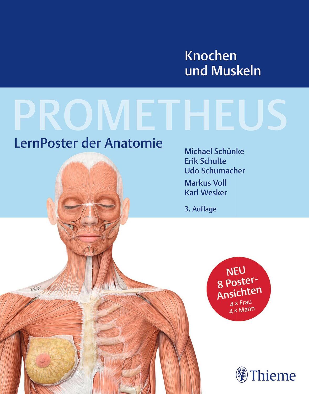 Cover: 9783132444263 | PROMETHEUS LernPoster der Anatomie, Knochen und Muskeln | Poster