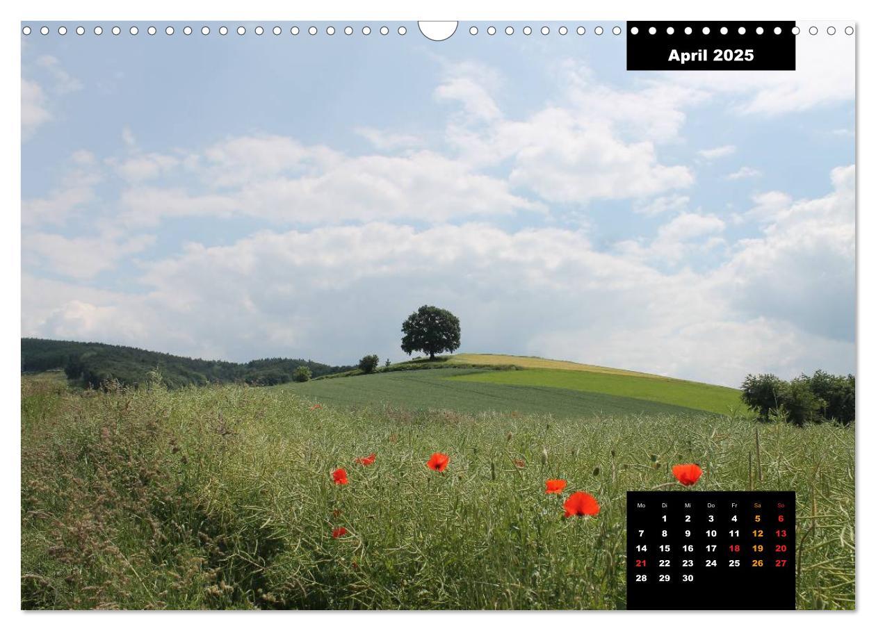 Bild: 9783435790302 | Odenwald Emotionen (Wandkalender 2025 DIN A3 quer), CALVENDO...