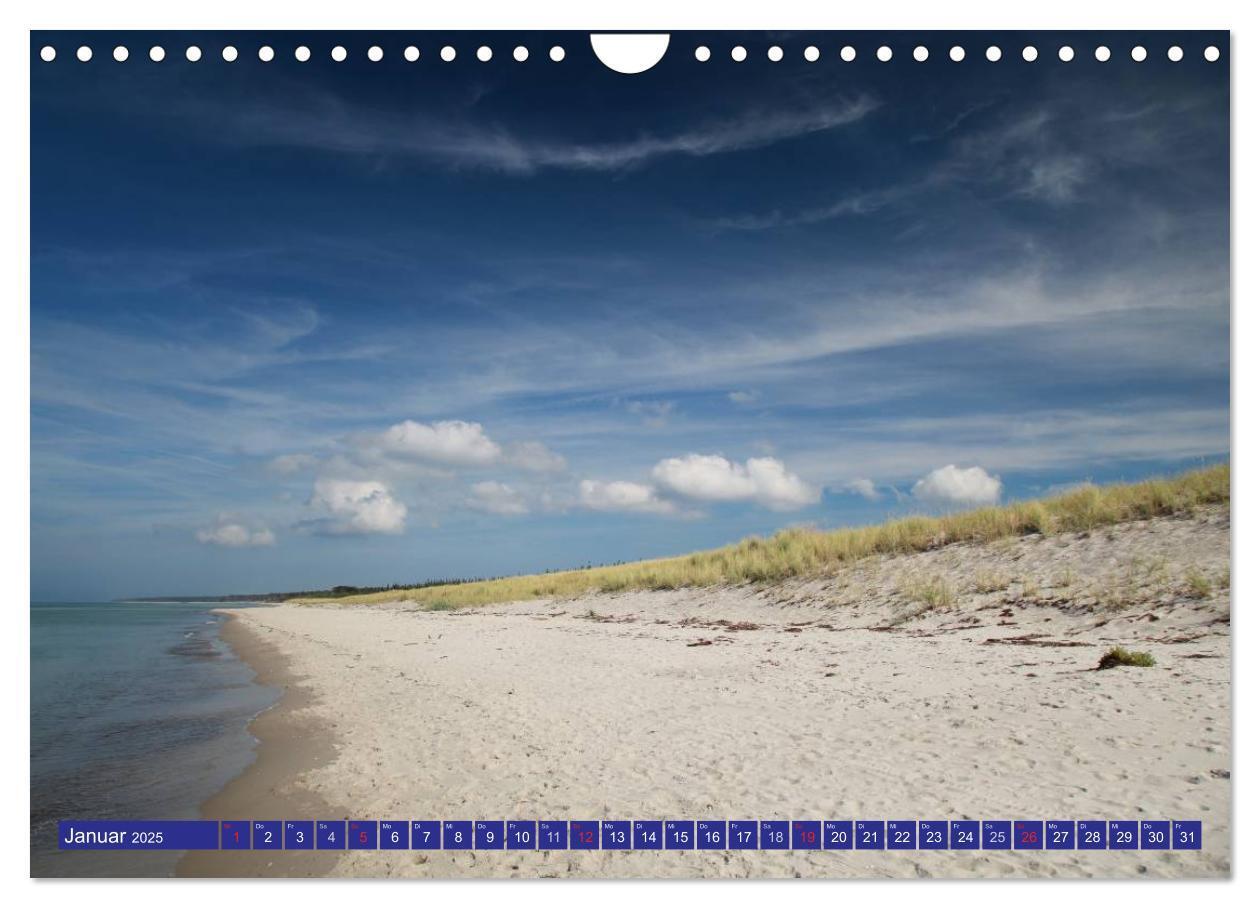 Bild: 9783435782390 | Weststrand Darß (Wandkalender 2025 DIN A4 quer), CALVENDO...