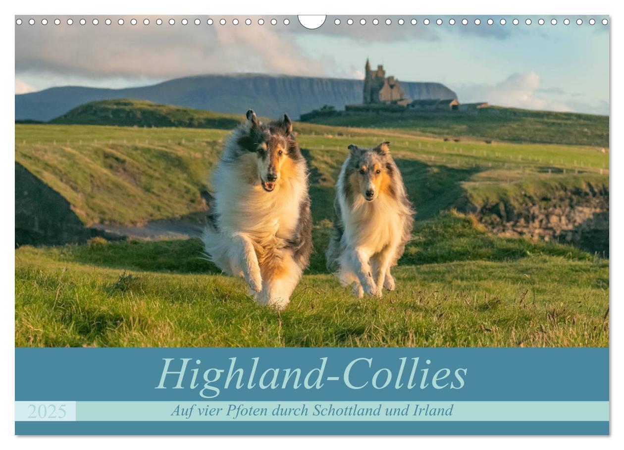 Cover: 9783435175758 | Highland-Collies - Auf vier Pfoten durch Schottland und Irland...