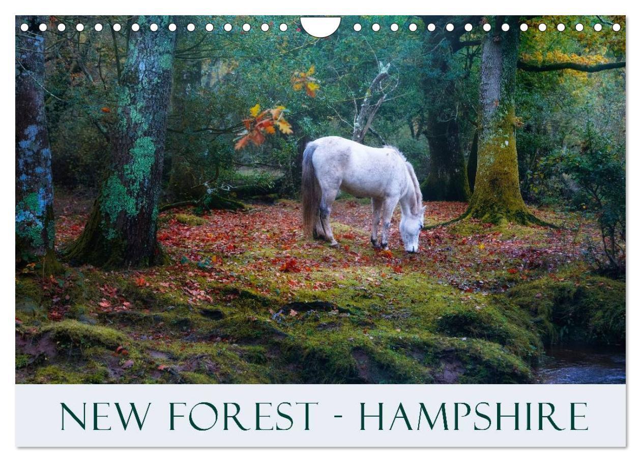 Cover: 9781325883875 | New Forest Hampshire (Wall Calendar 2024 DIN A4 landscape),...