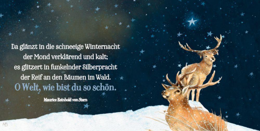 Bild: 9783649639466 | Fröhliche Weihnachten | Marjolein Bastin | Buch | BiblioPhilia | 96 S.