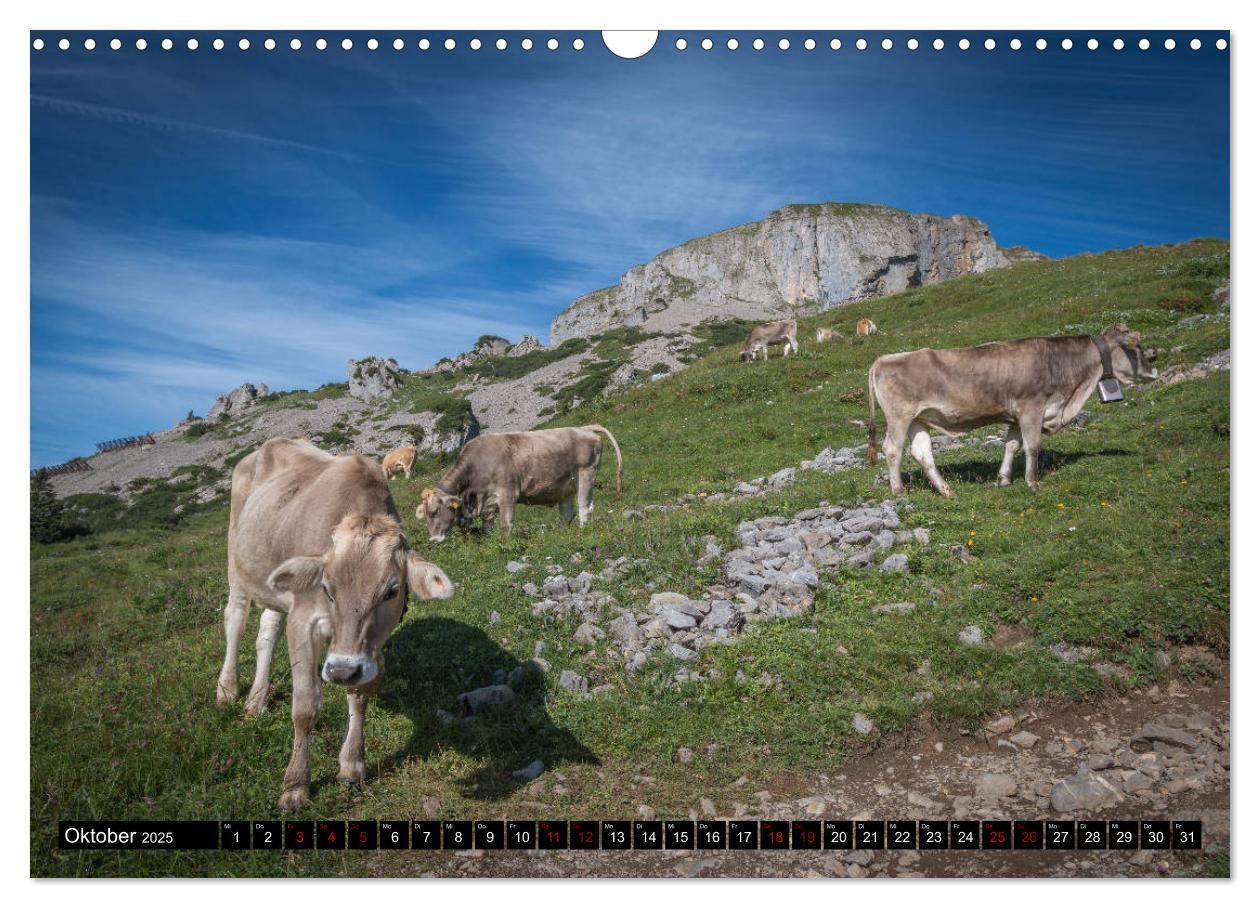 Bild: 9783435437979 | Oberallgäu - Oberstdorf und Umgebung (Wandkalender 2025 DIN A3...