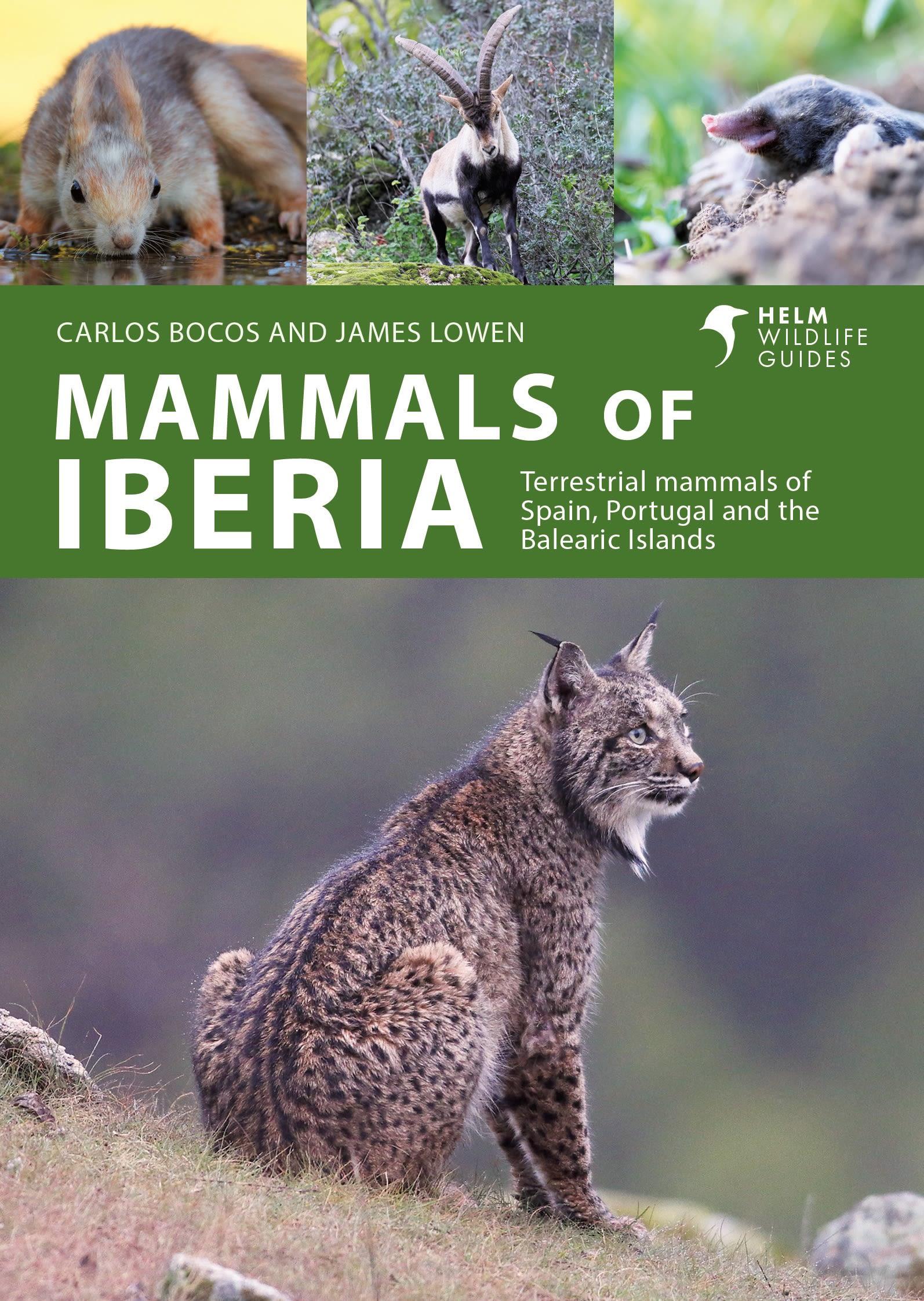 Cover: 9781399411936 | Mammals of Iberia | Carlos Bocos Gonzalez (u. a.) | Taschenbuch | 2025