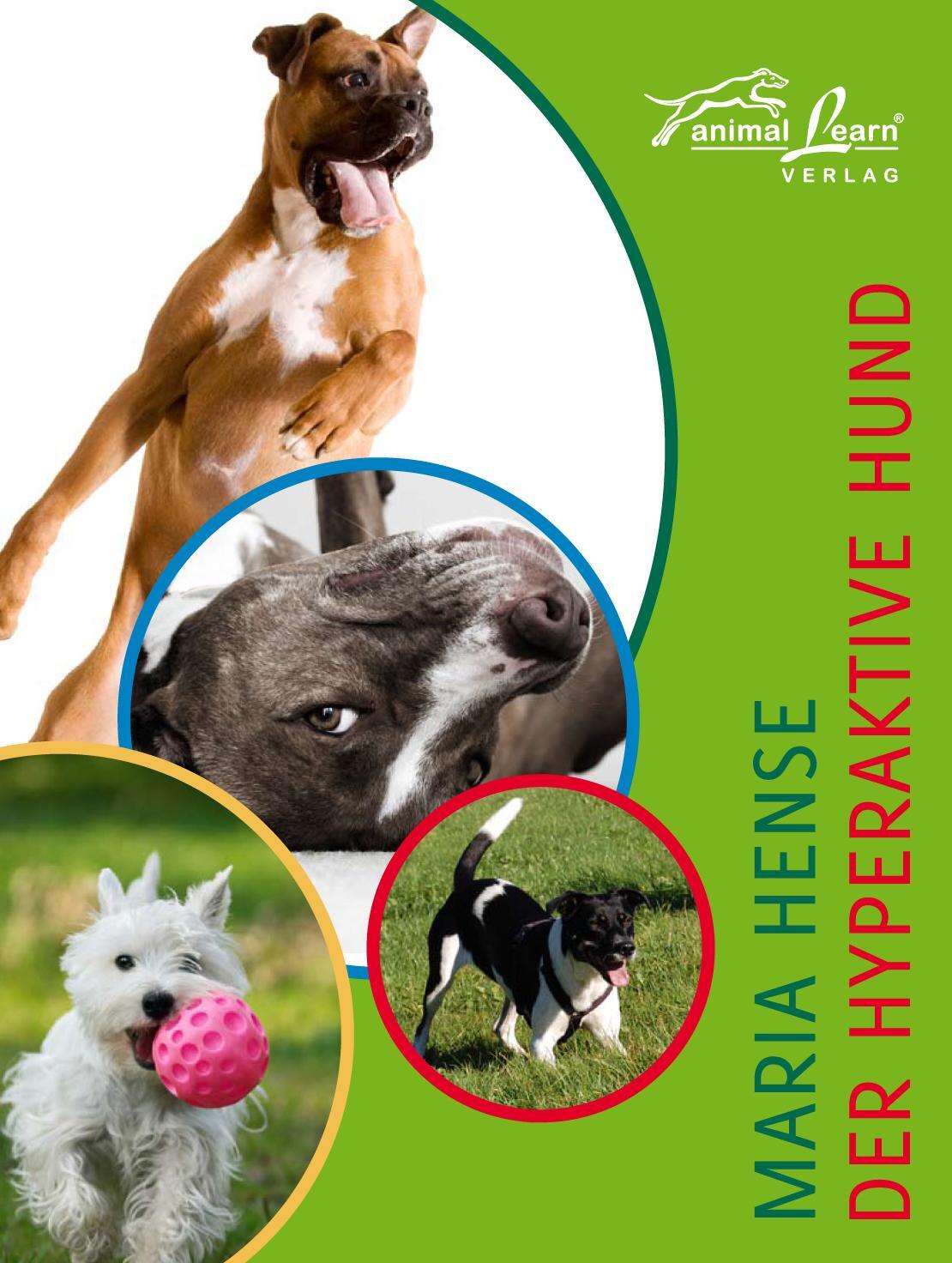 Cover: 9783936188554 | Der hyperaktive Hund | Maria Hense | Buch | Deutsch | 2010