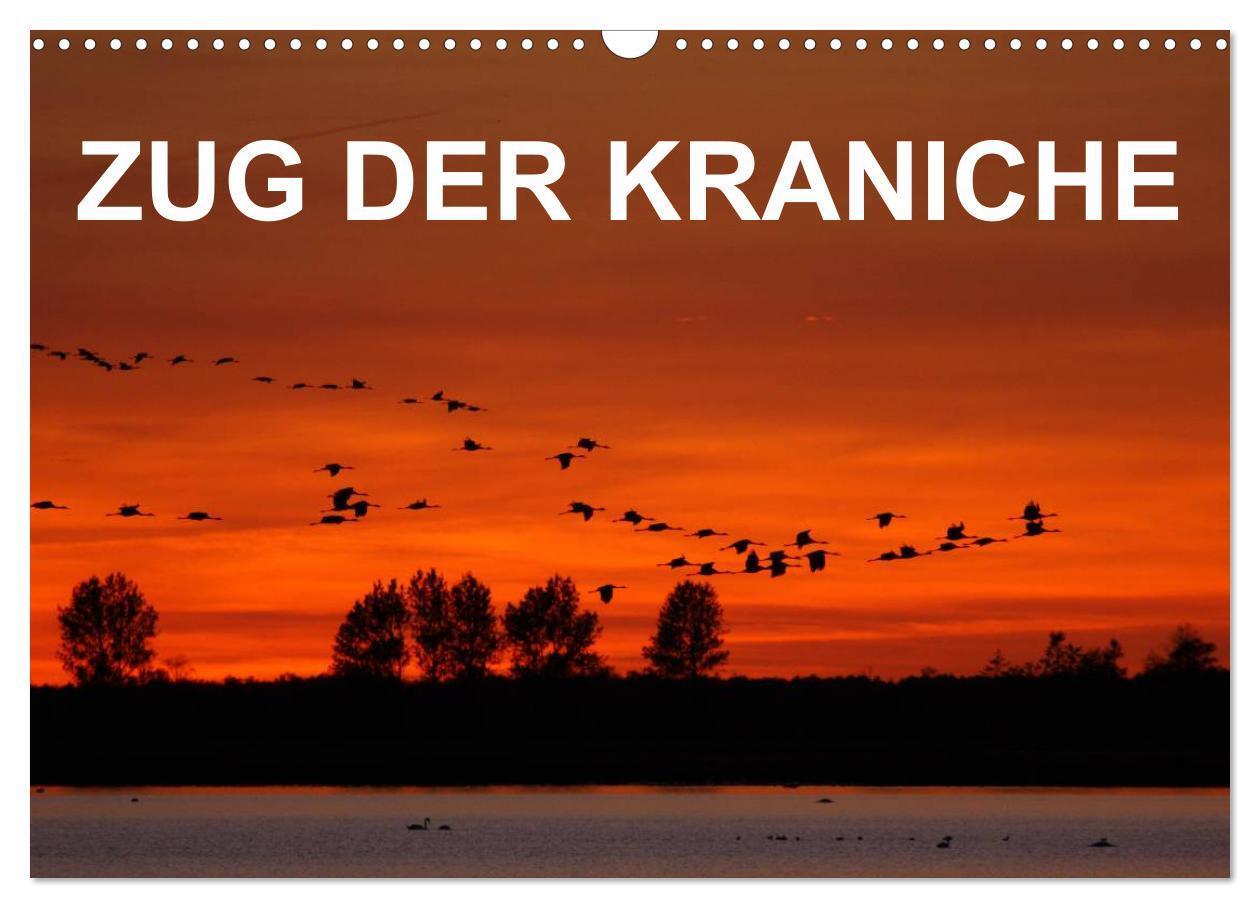 Cover: 9783675474703 | Zug der Kraniche (Wandkalender 2024 DIN A3 quer), CALVENDO...