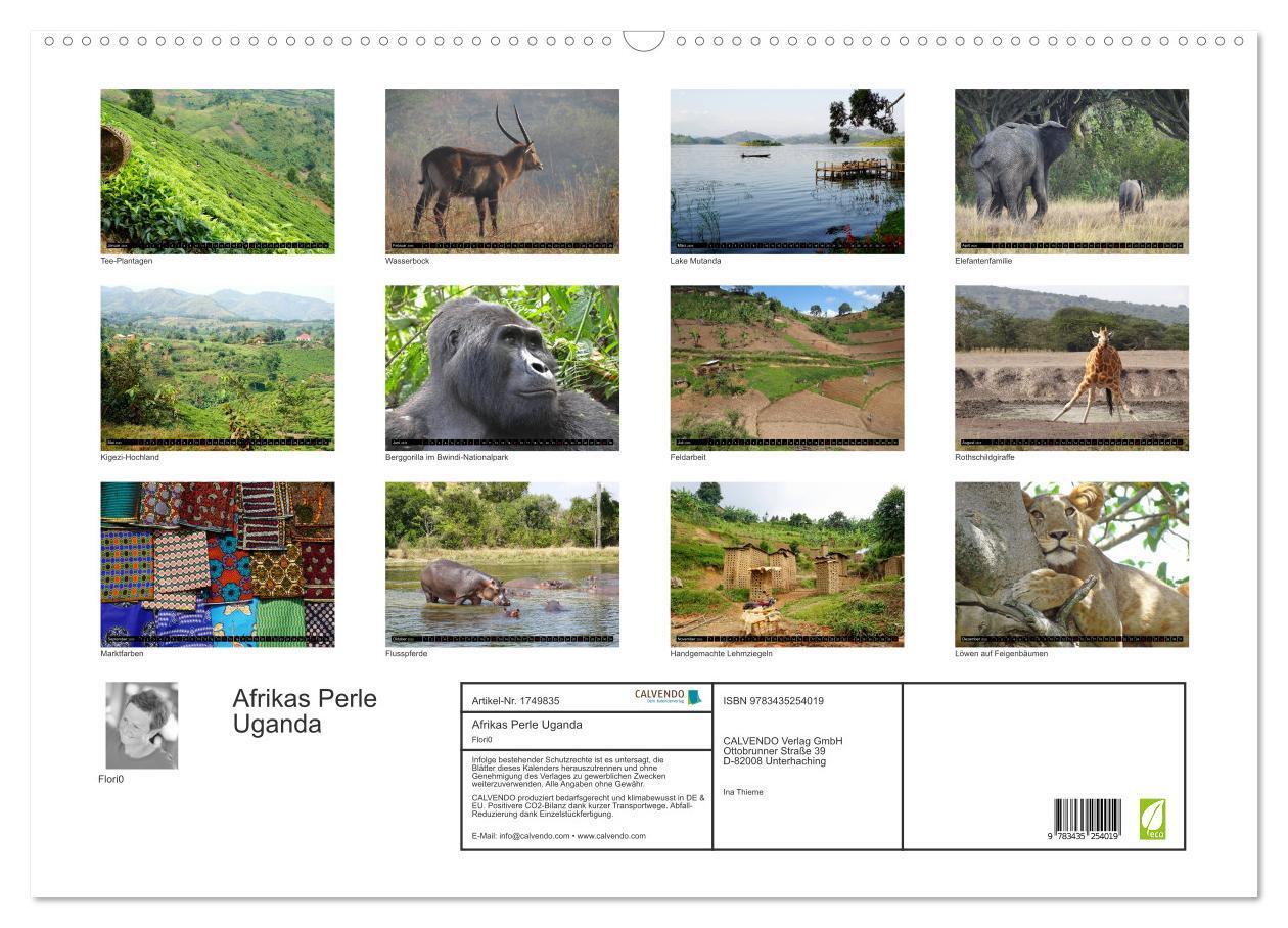 Bild: 9783435254019 | Afrikas Perle Uganda (Wandkalender 2025 DIN A2 quer), CALVENDO...