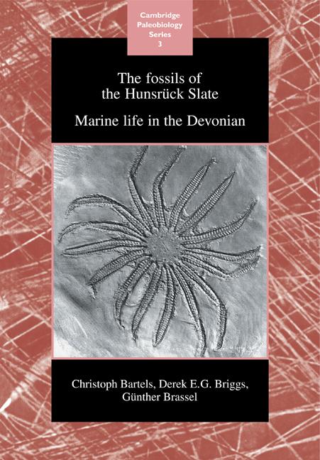 Cover: 9780521117074 | The Fossils of the Hunsruck Slate | Marine Life in the Devonian | Buch