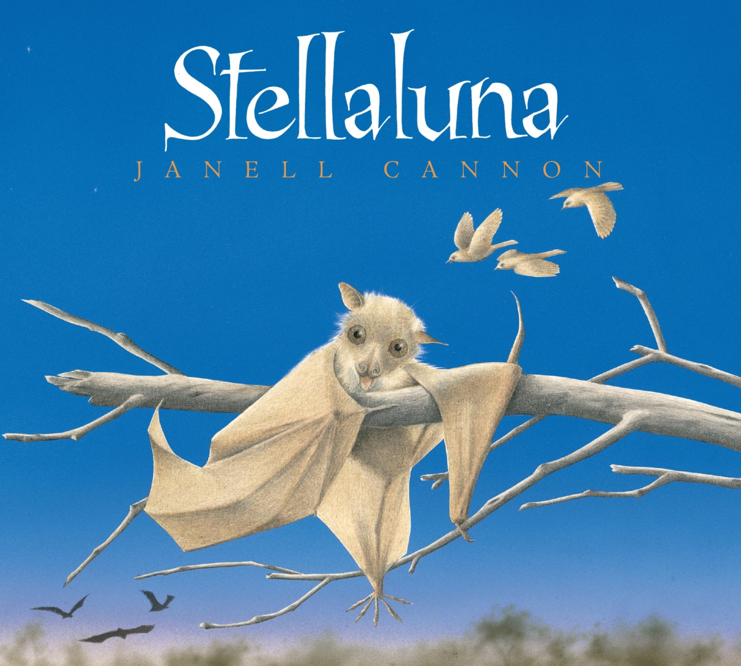 Cover: 9780152062873 | Stellaluna Board Book | Janell Cannon | Buch | Papp-Bilderbuch | 2007