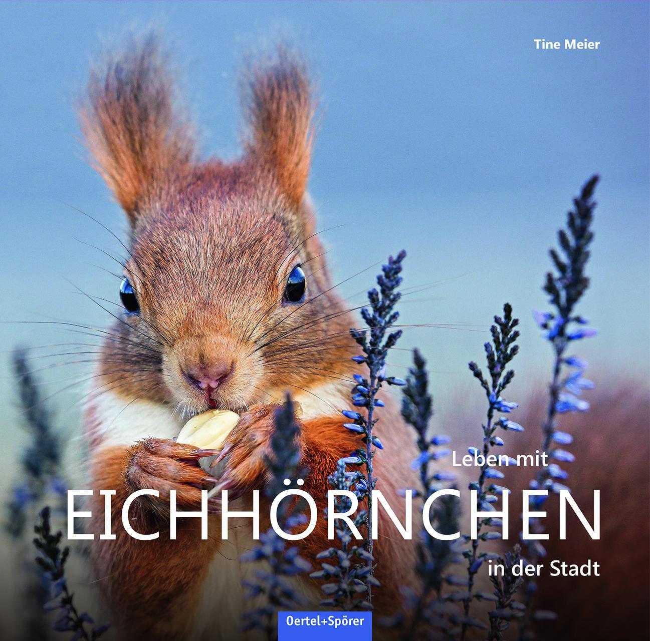 Cover: 9783886275748 | Leben mit Eichhörnchen in der Stadt | Tine Meier | Buch | Deutsch