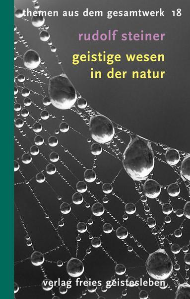 Cover: 9783772521188 | Geistige Wesen in der Natur | 12 Vorträge | Rudolf Steiner | Buch