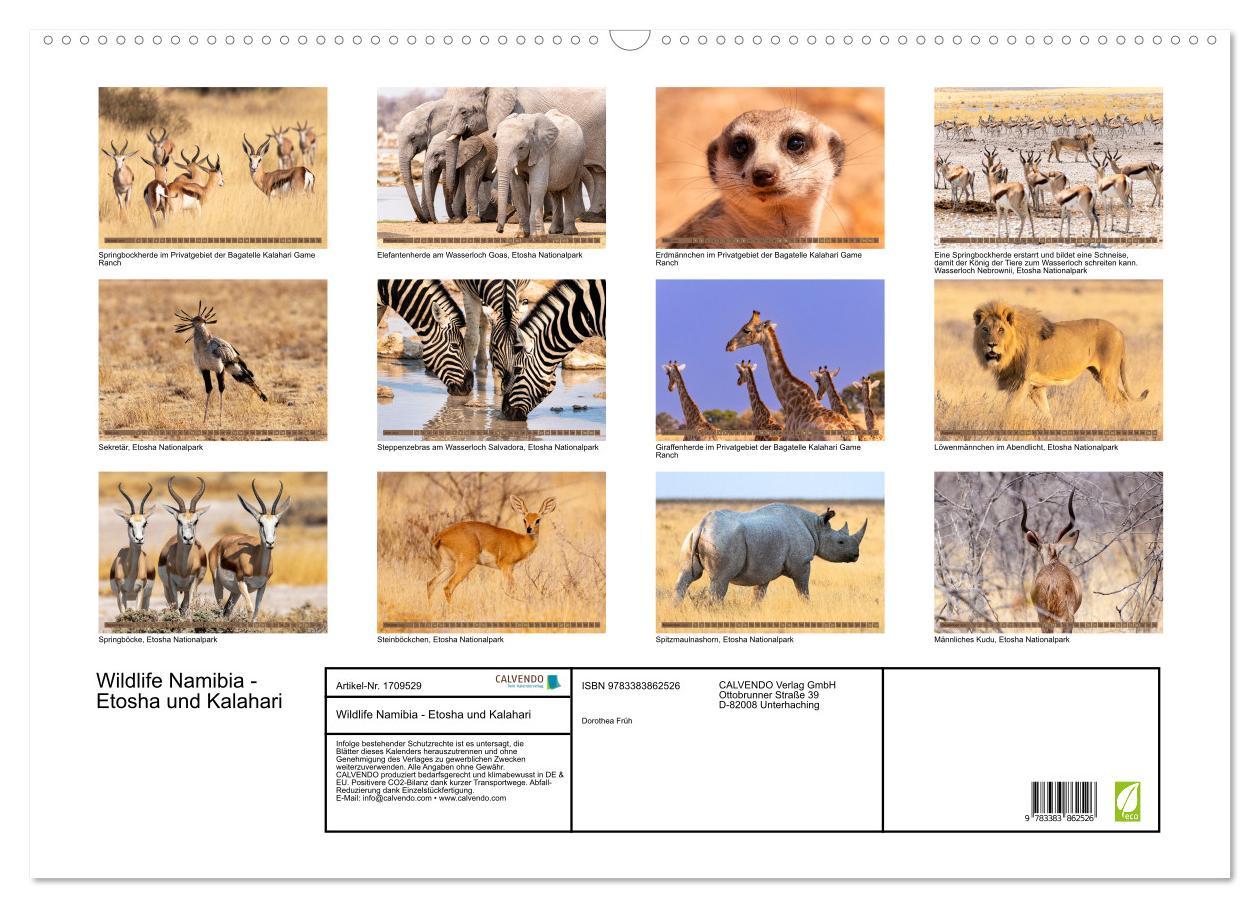 Bild: 9783383862526 | Wildlife Namibia - Etosha und Kalahari (Wandkalender 2025 DIN A2...