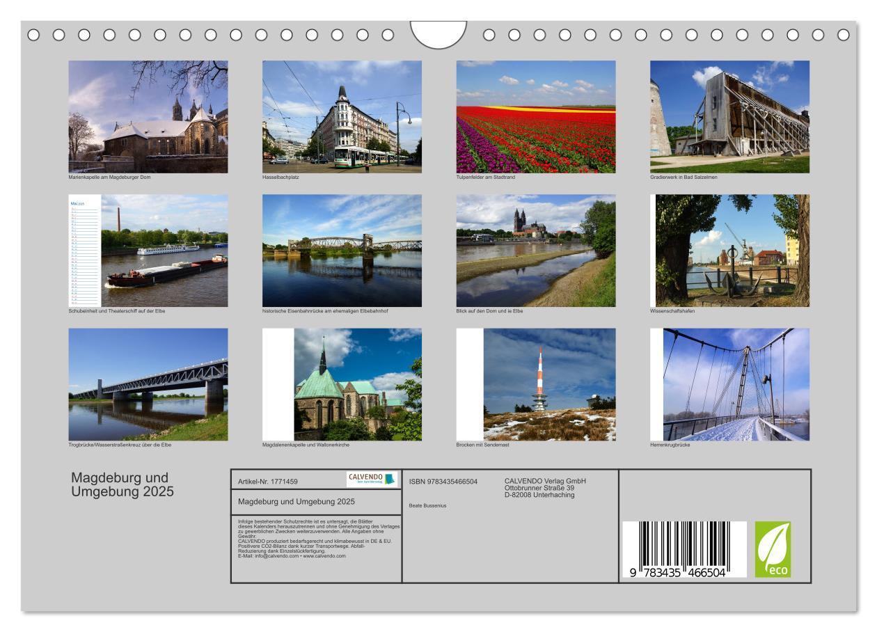 Bild: 9783435466504 | Magdeburg und Umgebung 2025 (Wandkalender 2025 DIN A4 quer),...