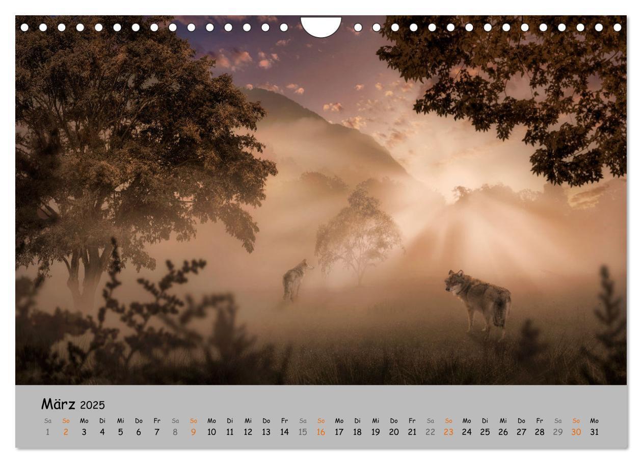 Bild: 9783435080076 | Der lange Weg der Wölfe (Wandkalender 2025 DIN A4 quer), CALVENDO...