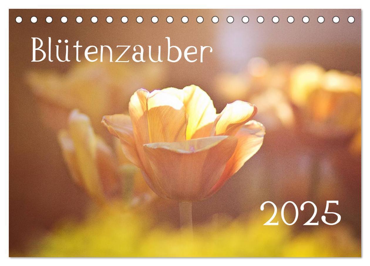 Cover: 9783435667819 | Blütenzauber 2025 (Tischkalender 2025 DIN A5 quer), CALVENDO...