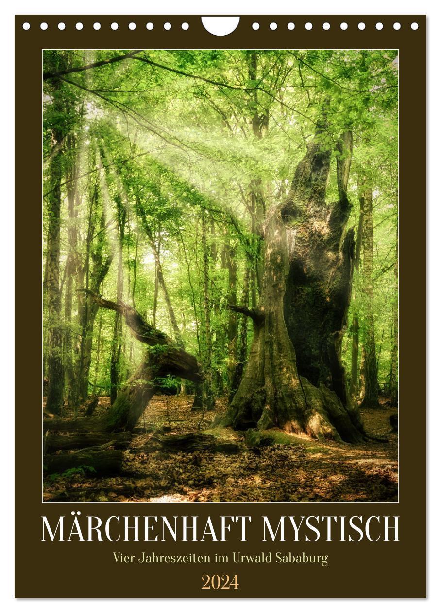 Cover: 9783383646027 | Märchenhaft mystisch (Wandkalender 2024 DIN A4 hoch), CALVENDO...