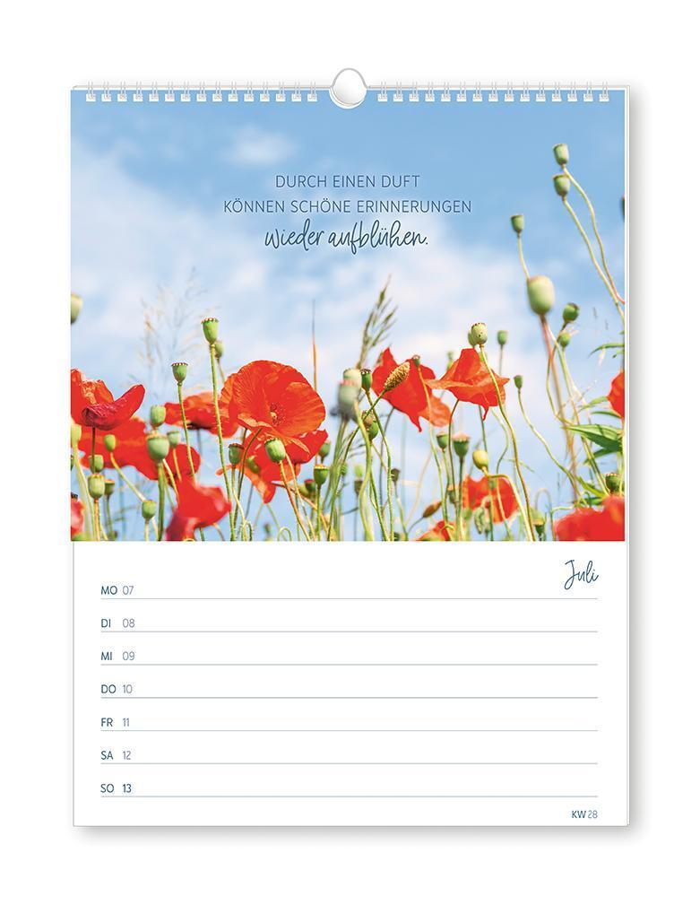 Bild: 9783986361013 | Wochenkalender klein 2025 Zeit für dich | Wochenkalender | Original