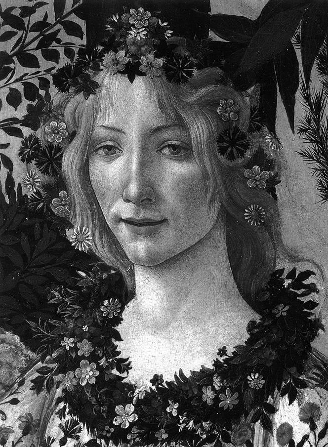 Cover: 9780714869674 | Botticelli | Classic 2015 | Lionello Venturi (u. a.) | Buch | 180 S.