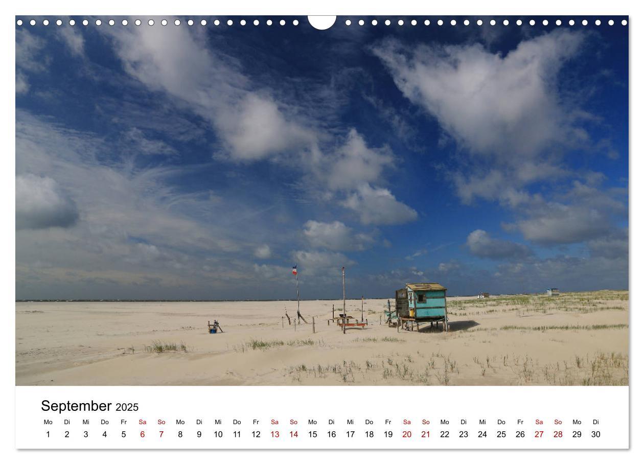 Bild: 9783435387984 | Insel Amrum - Ein Juwel unterm norddeutschen Himmel (Wandkalender...