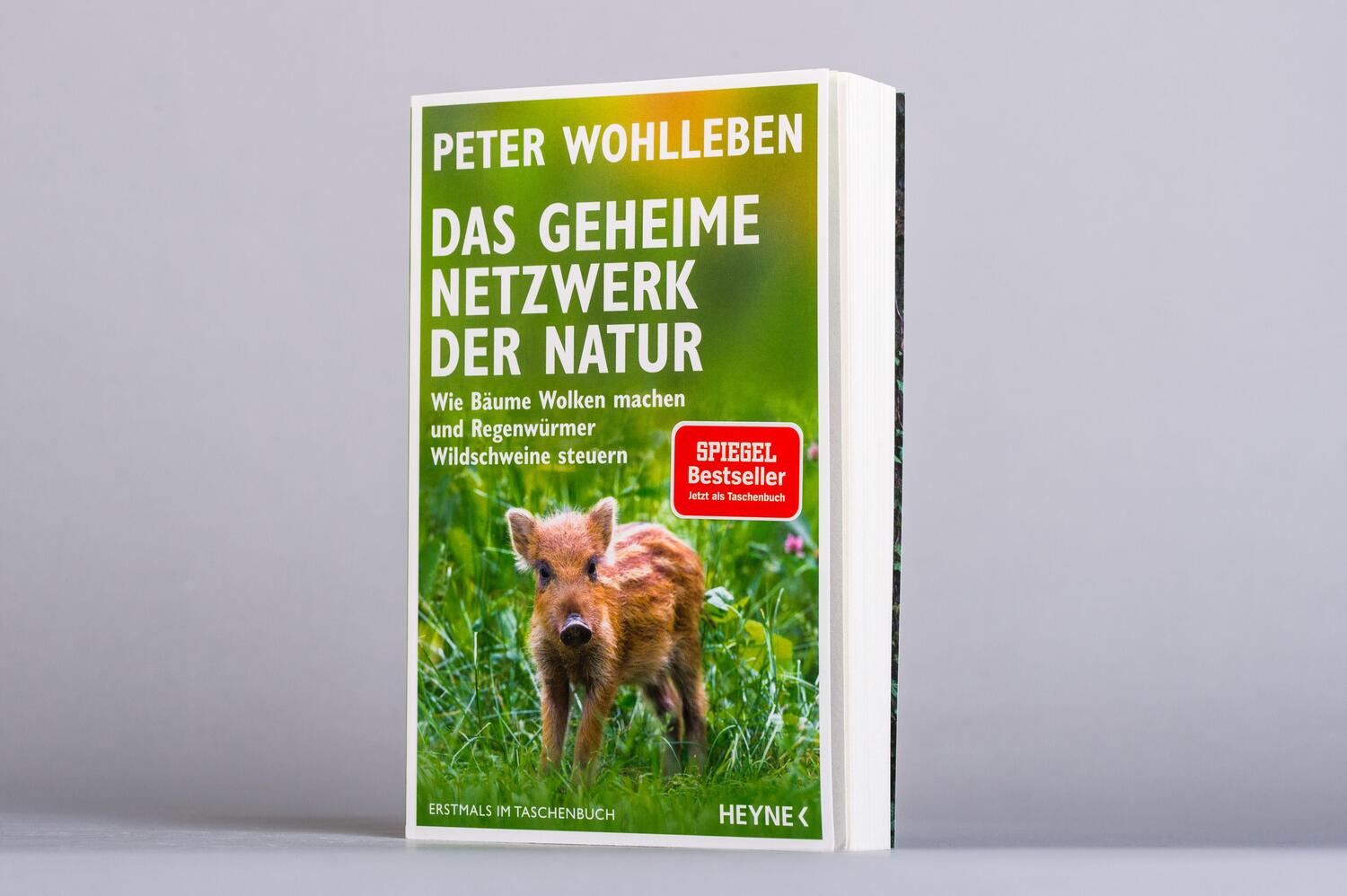 Bild: 9783453605619 | Das geheime Netzwerk der Natur | Peter Wohlleben | Taschenbuch | 2020